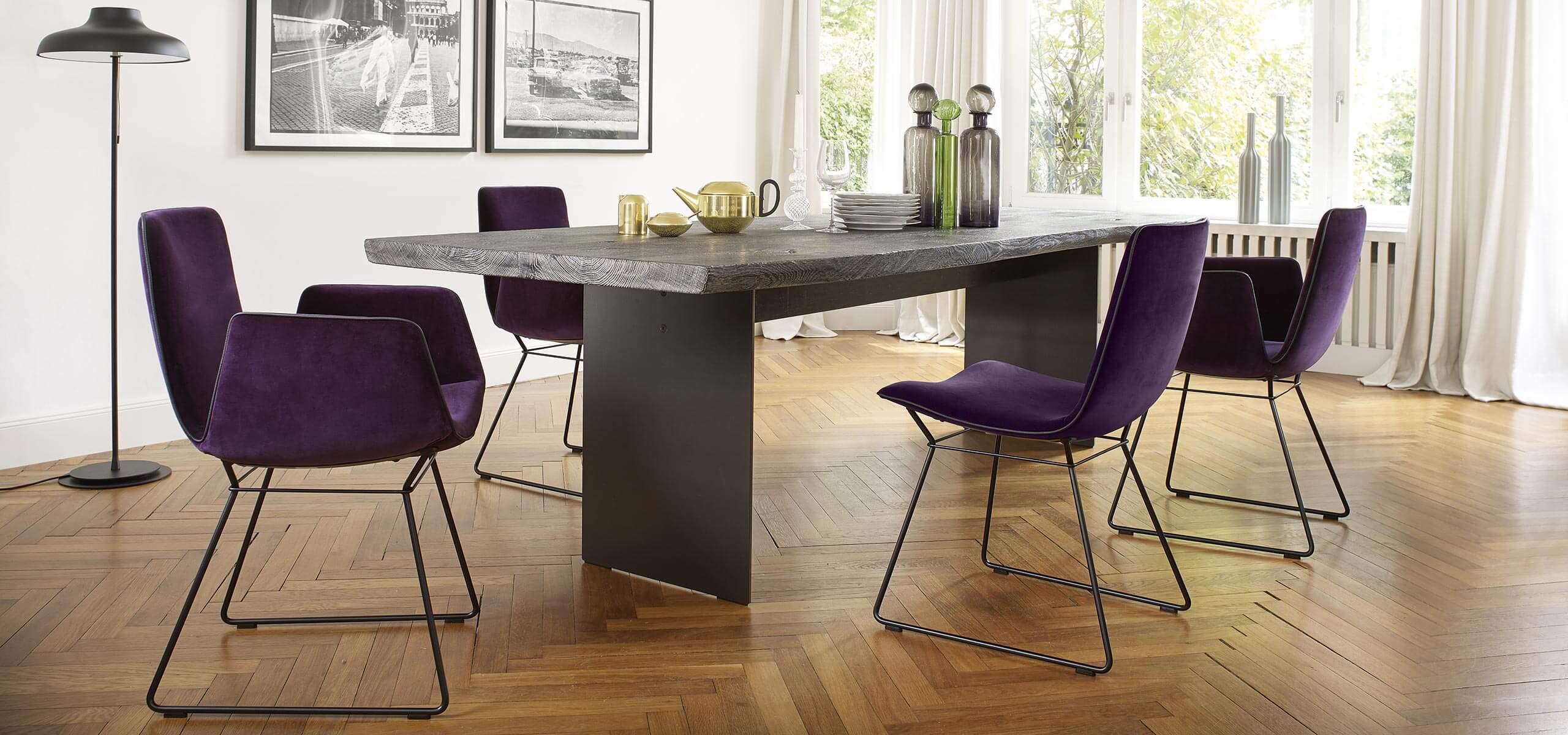 Janua Tisch