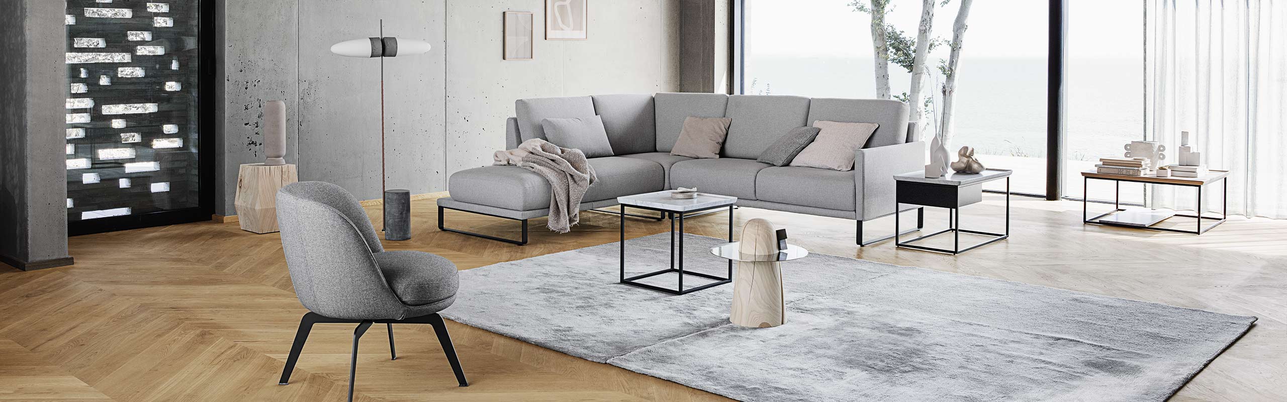 Rolf Benz Sofa Cara 2020